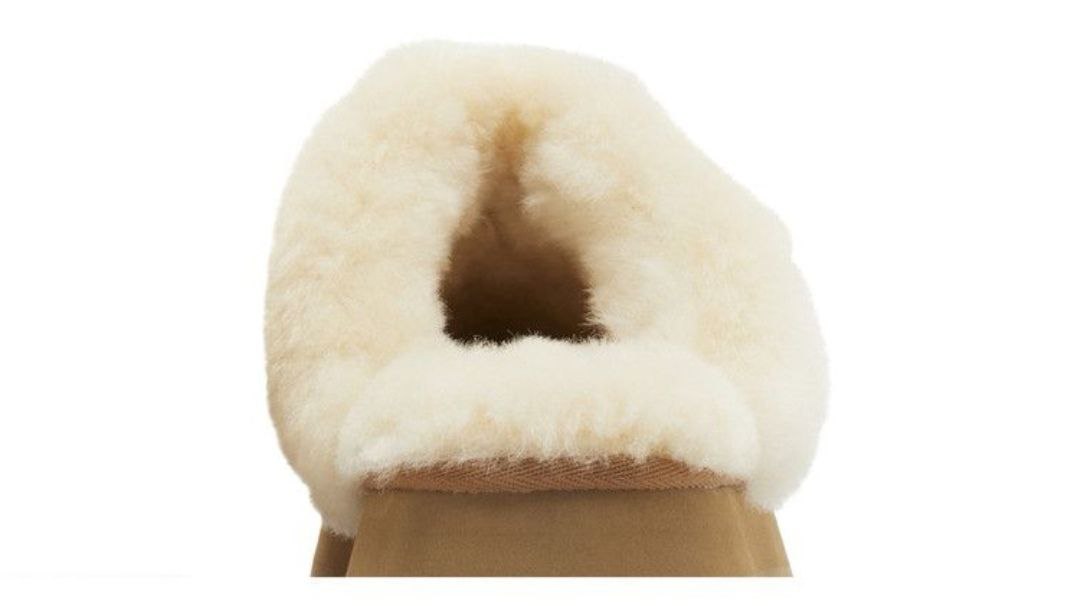 UGG Disquette Slipper 'Chestunt'