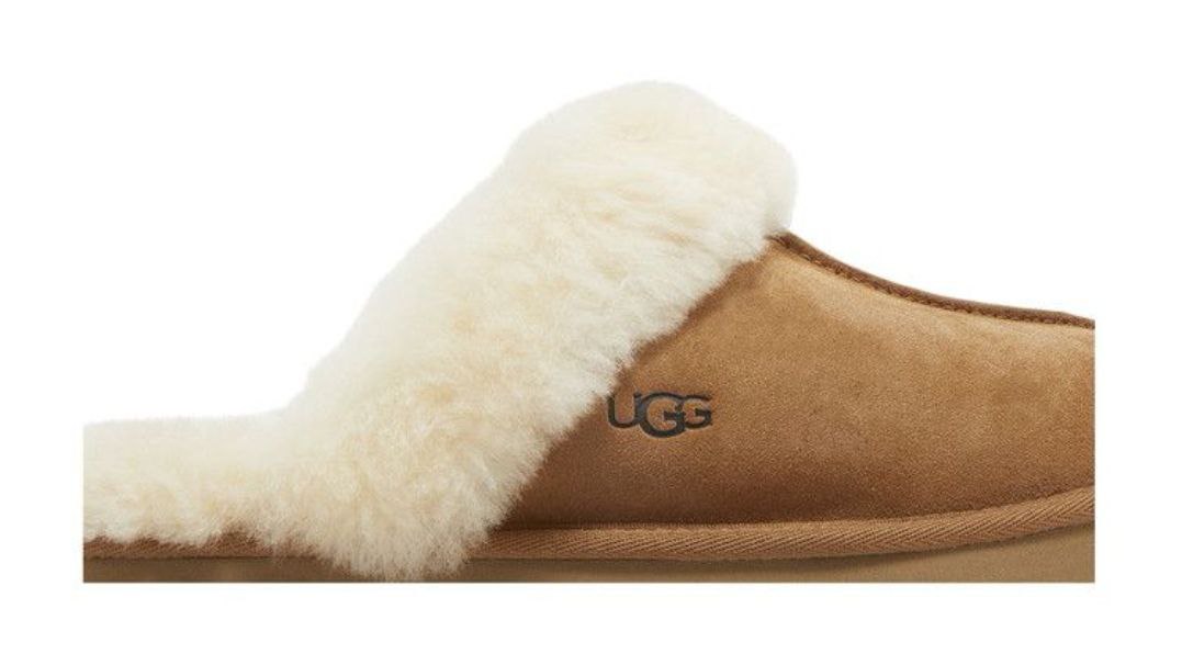 UGG Disquette Slipper 'Chestunt'